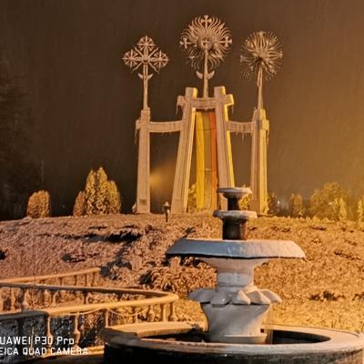 Luksiai 20210106 10