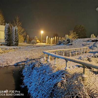Luksiai 20210106 14