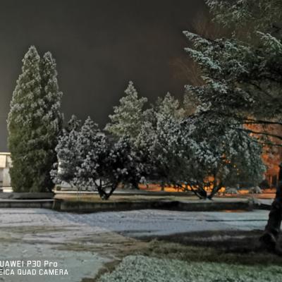 Luksiai 20210106 9
